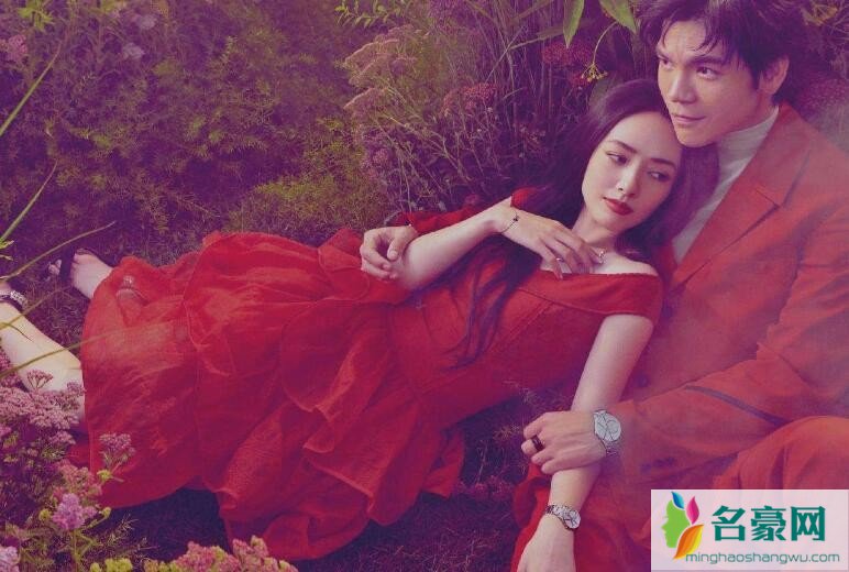 向佐郭碧婷照片
