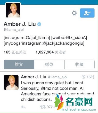 EXID正花在美遭美媒种族歧视 F(x)Amber推特怒斥对方