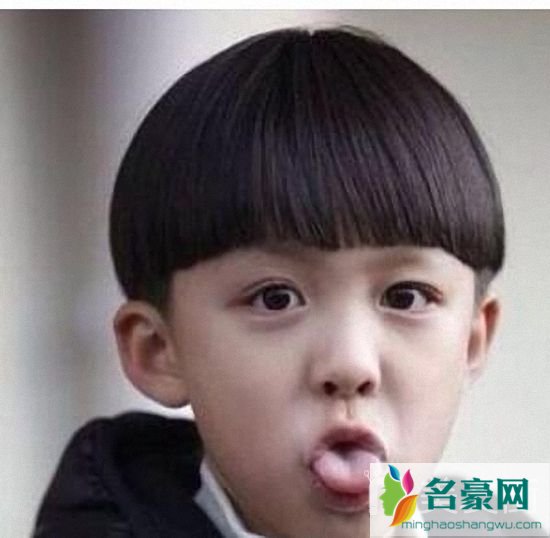 小男孩西瓜头发型怎么剪好看_洋气的男童西瓜头发型_男宝宝西瓜头发型_小男孩西瓜头发型图片3