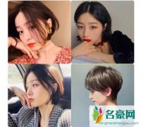 秋季女生适合什么发型图片 漏耳短发vs改良版辛芷蕾