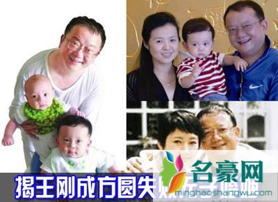 成方圆有孩子吗 王刚和成方圆有孩子