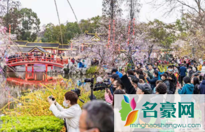 武汉东湖樱花园闭园是真的吗20213
