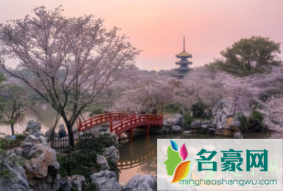 武汉东湖樱花园闭园是真的吗20211