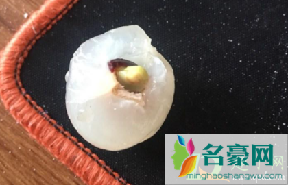 发芽的桂圆吃了会中毒吗2
