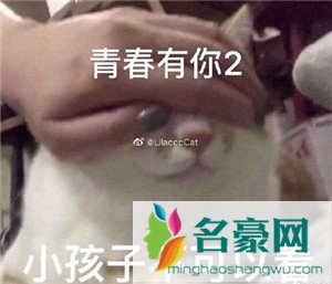 大虞海棠表情包带字 青春有你2虞书欣赵小棠表情包5