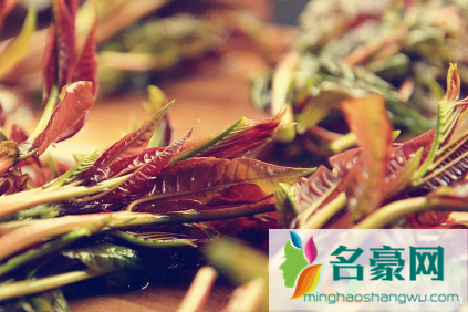香椿芽升高血压吗3
