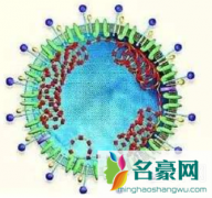 新型冠状病毒带来的影响有哪些 新型冠状病毒带来