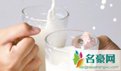 牛奶羊奶混合喝会有怎样的后果 羊奶转牛奶能掺着