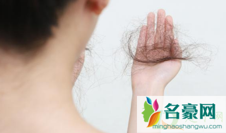 两百多天能掉多少头发1