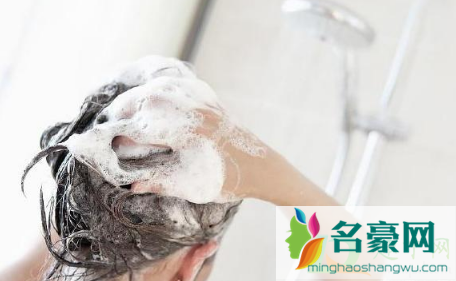 两百多天能掉多少头发3