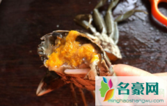蟹籽和蟹黄哪个更营养 蟹籽能吃吗