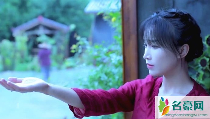 古风美食博主李子柒