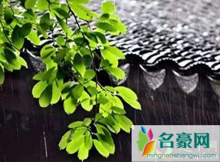 2021梅雨季节是什么时间3