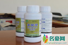 1勺子多菌灵兑水比例是多少 多菌灵主治那些病害