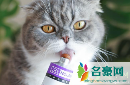 怎么让猫咪吃化毛膏1