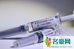 上海新冠疫苗预约公众号入口 新冠疫苗为什么老人