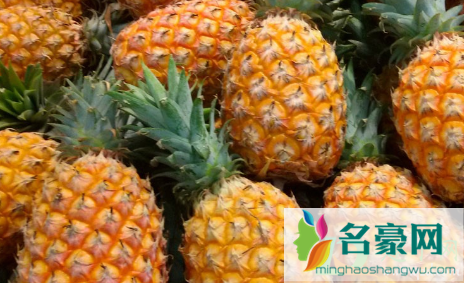 徐闻菠萝和海南菠萝哪个好吃3