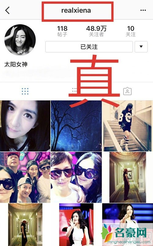 谢娜在家养胎还能躺枪 一个假INS账号引发排挤吴昕争议