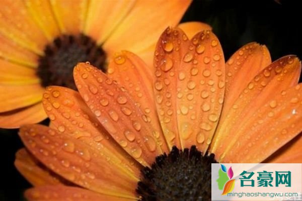 老公爱上了小三怎么办 分离老公和小三的方法