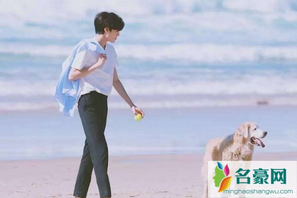 男朋友不愿意结婚怎么办 如何应对男朋友不原因结婚问题