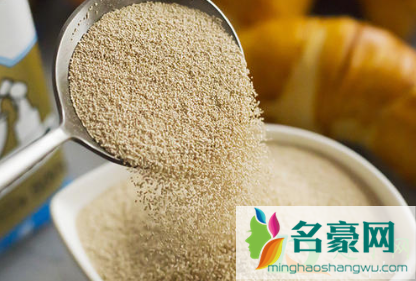 开封的酵母怎么保存最好1