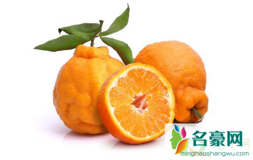 烤橘子可以用丑橘吗2