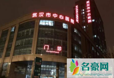 武汉中心医院核酸抗体自助预约检查怎么退费1