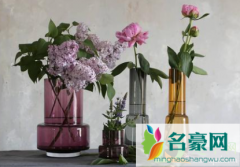 花瓶加什么可以让花活得久一点 鲜花插花瓶能保存