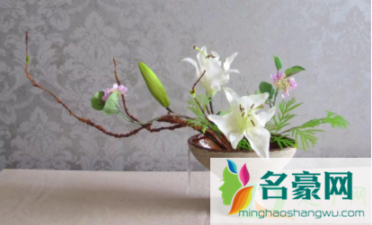 花瓶加什么可以让花活得久一点2