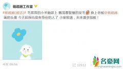 杨超越成立工作室 网友：会一直支持越哥的毕业快