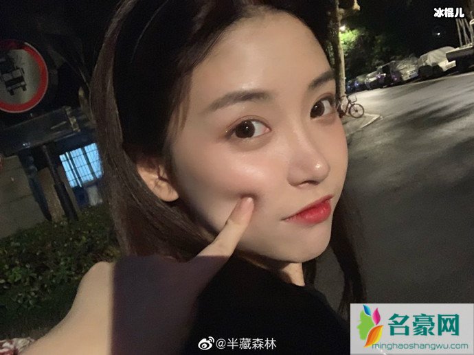 半藏森林被石锤小三后现状如何