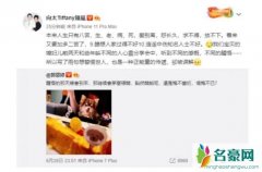 向太回应郭碧婷发文 直言是一种正能量的传递却被