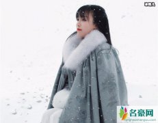 李子柒怎么盈利能赚多少钱 李子柒一年的年收入是