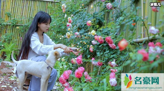 李子柒怎么盈利年收入是多少