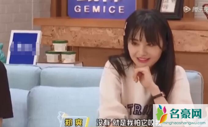 郑爽带爱犬磨牙