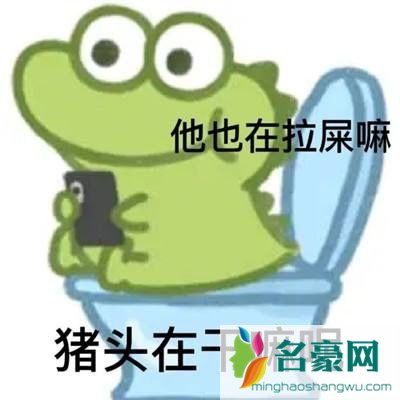 抹茶旦旦表情包全套原图202117