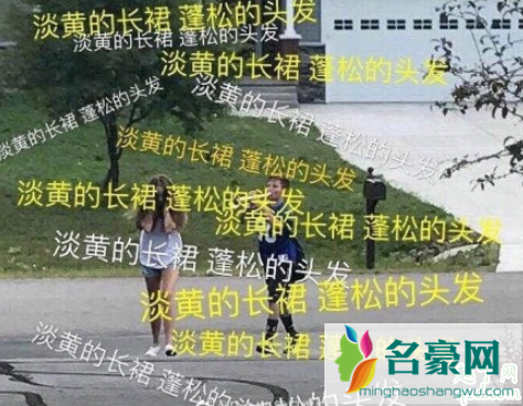淡黄的长裙蓬松的头发什么梗 淡黄的长裙蓬松的头发出自哪里1