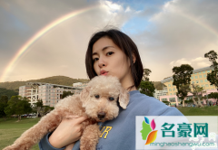 台剧覆活程佑宽毕克葳的命运为何会连在一起 程佑