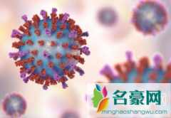 新型冠状病毒在空气中可以存活多久 新型冠状病毒