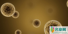 新型冠状病毒核酸检测试剂多久出结果 新冠性肺炎