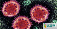 新型冠状病毒23天后发病是怎么回事 新型冠状病毒症