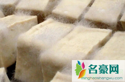 霉豆腐怎么发霉才会白色毛3