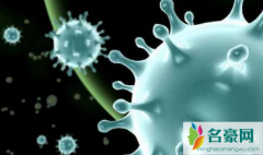 感冒和肺炎有什么区别 新型冠状病毒肺炎怎么预防