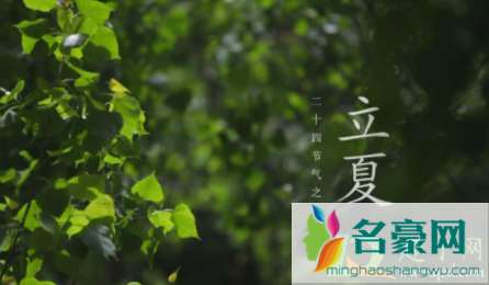 立夏前一天是农历几月1