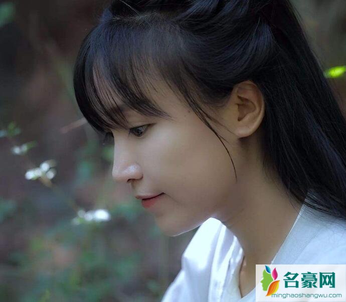 扒一扒李子柒