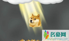 手机挖矿狗狗币怎么操作 狗狗币暴涨对好莱特币有