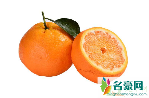 粑粑柑是橘子还是橙子1