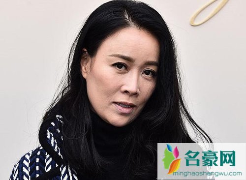 那英吸毒是真的吗 那英吸毒被抓图片