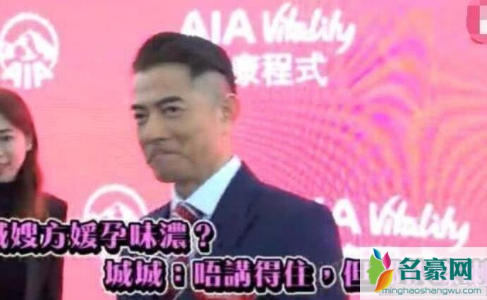 方媛再被传怀二胎