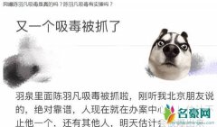 陈羽凡吸毒有实锤证据吗 好兄弟胡海泉因爆料圈入